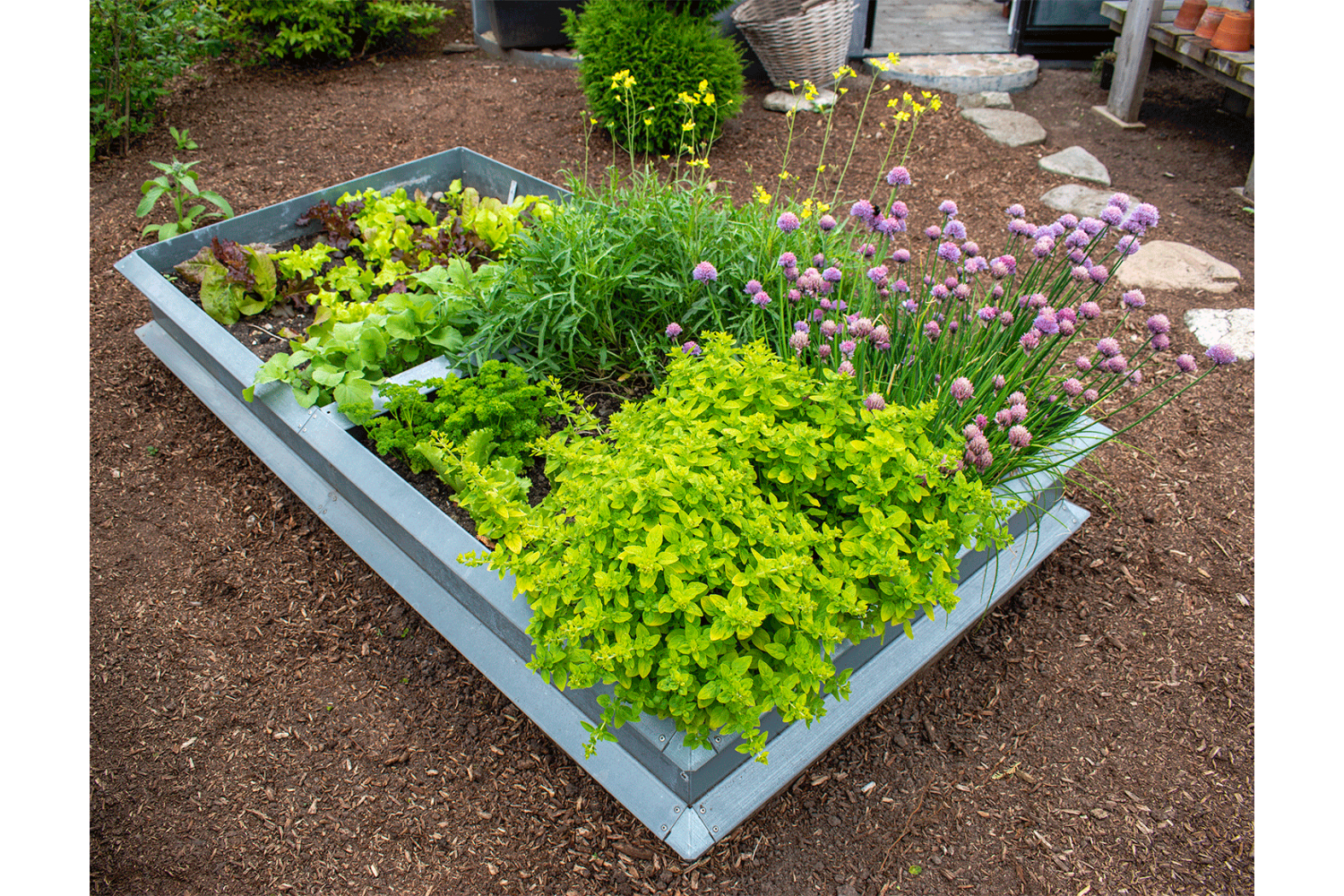 Raised bed, galvanised, 1x1 metre extension module Raised bed, galvanised, 1x1 metre extension module