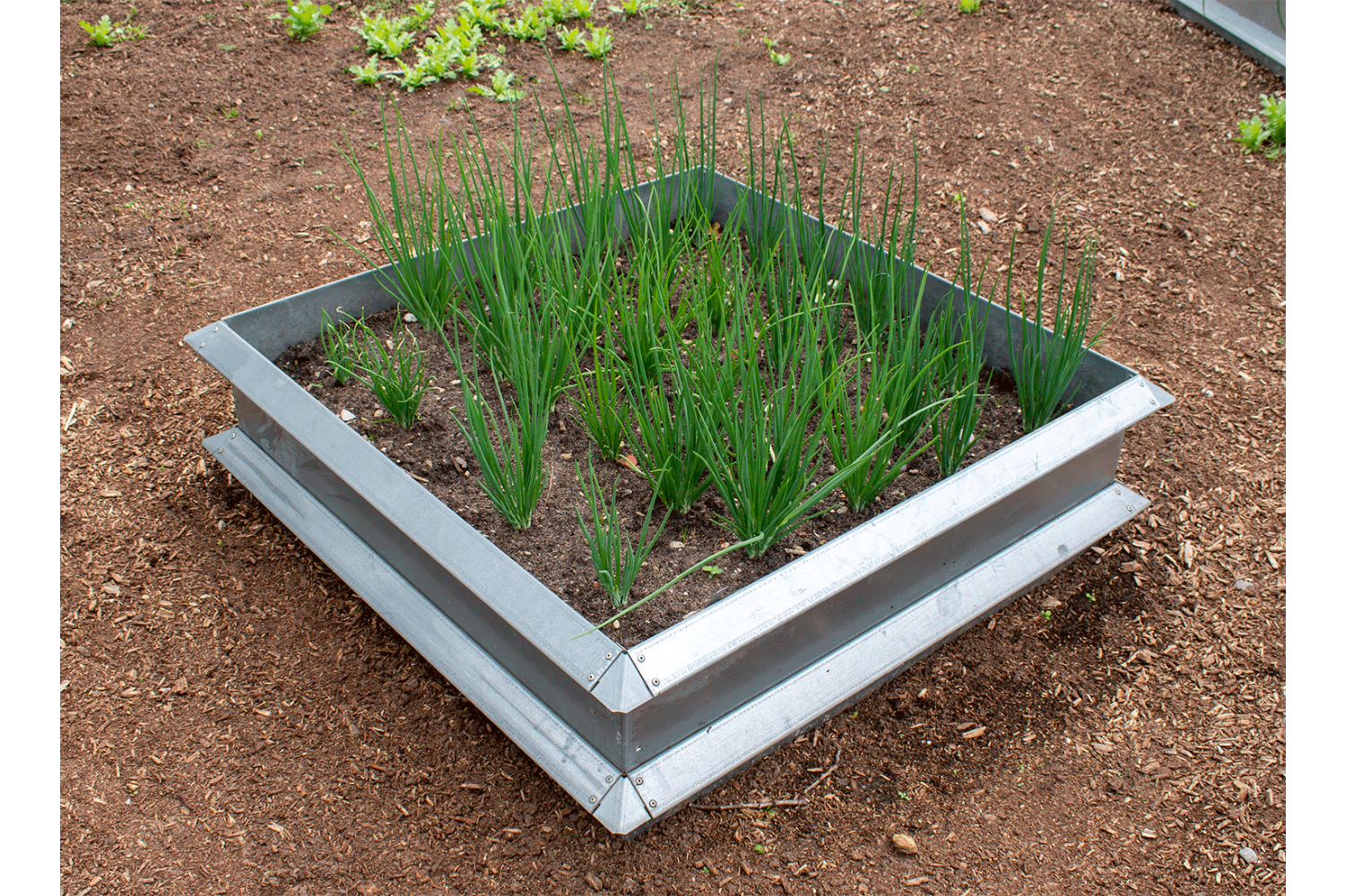 Højbed, galvaniseret, 1x1 meter hovedmodul Højbed, galvaniseret, 1x1 meter hovedmodul