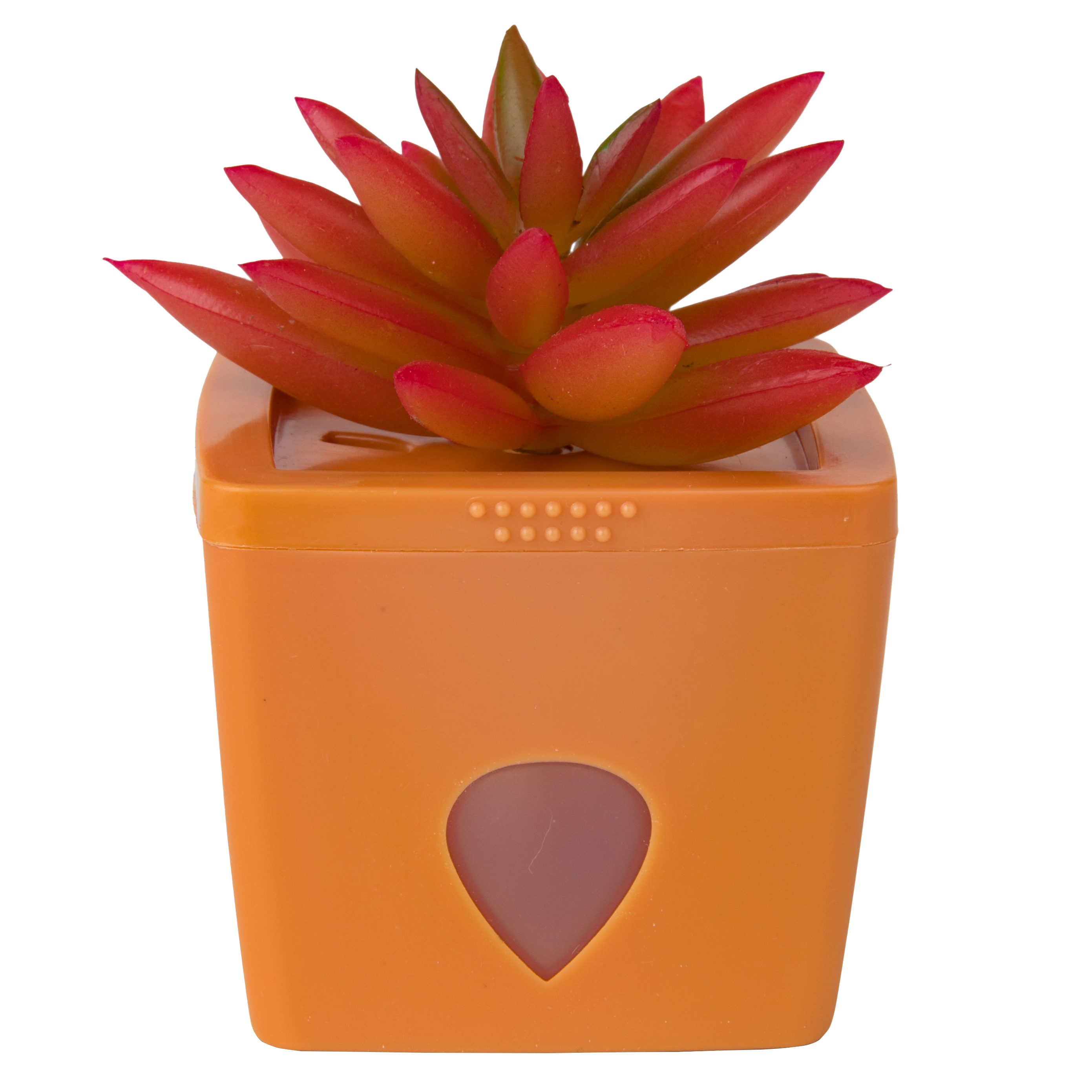 ZendoZones® Fruitflytrap, Joyful Janet, terracotta ZendoZones® Fruitflytrap, Joyful Janet, terracotta