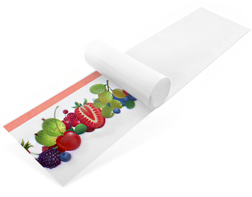 VETROBAND limpladefælde til vindue, mod fluer VETROBAND limpladefælde til vindue, mod fluer