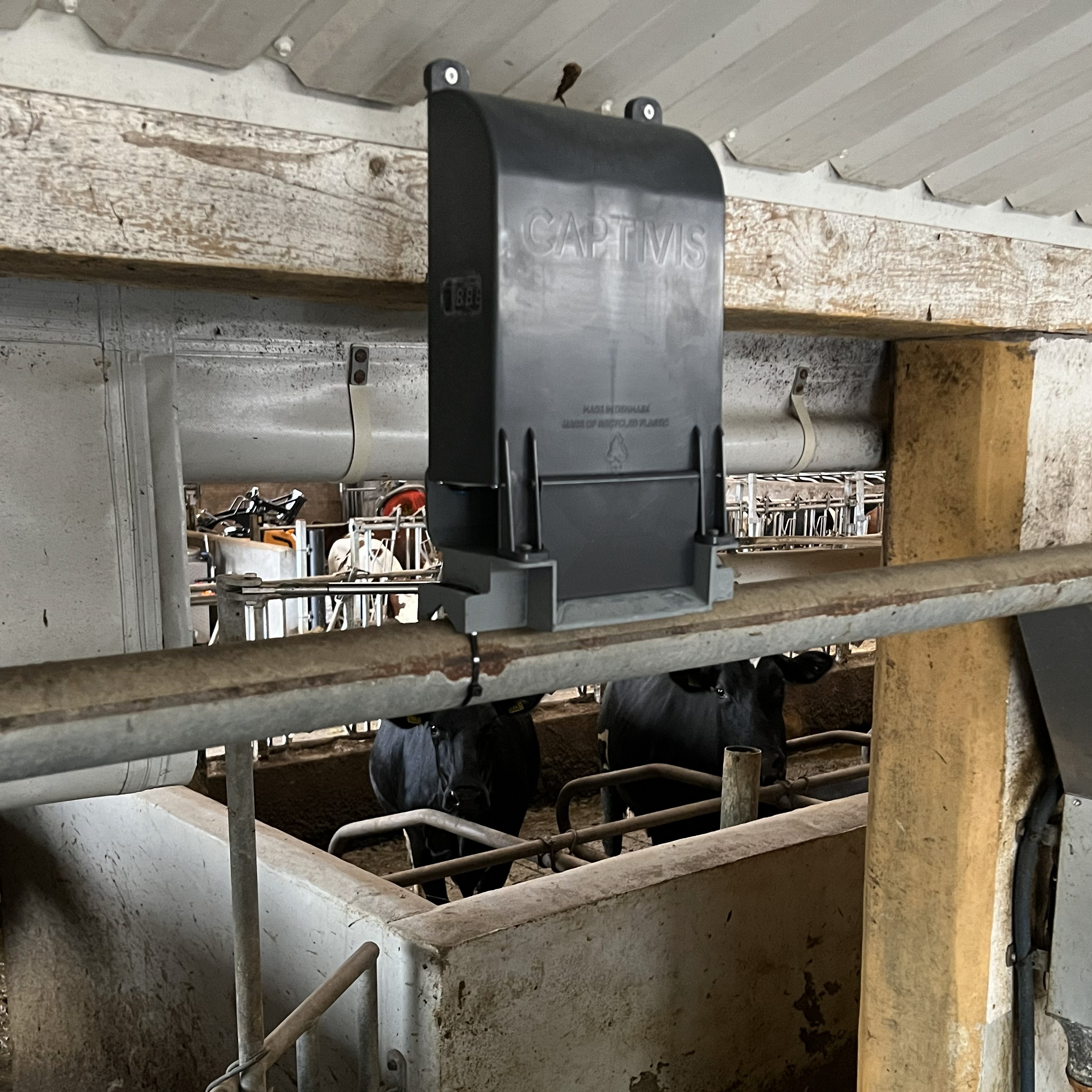 CAPTIVIS HARBOR Connected