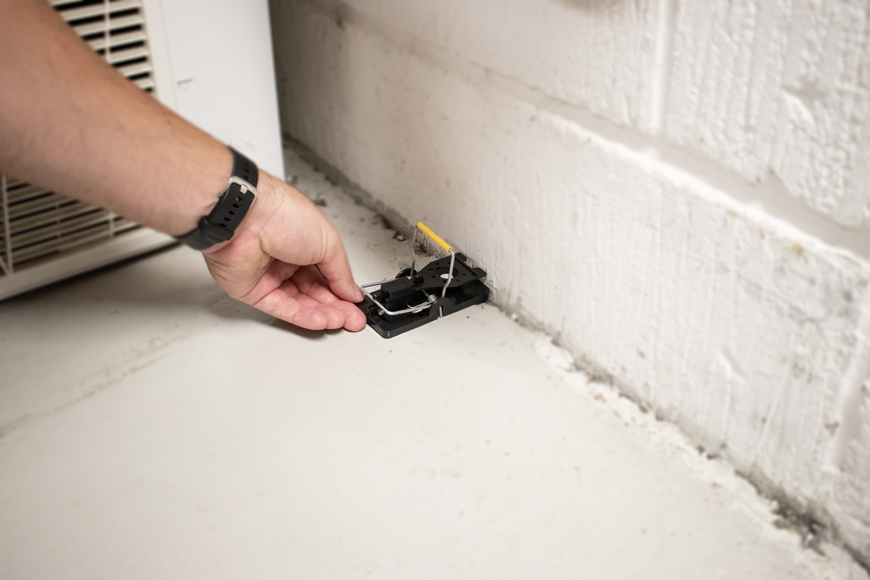 SafeTrap Gnaver Tablet PRO (x12) Mod rotter og mus SafeTrap Gnaver Tablet PRO (x12) Mod rotter og mus