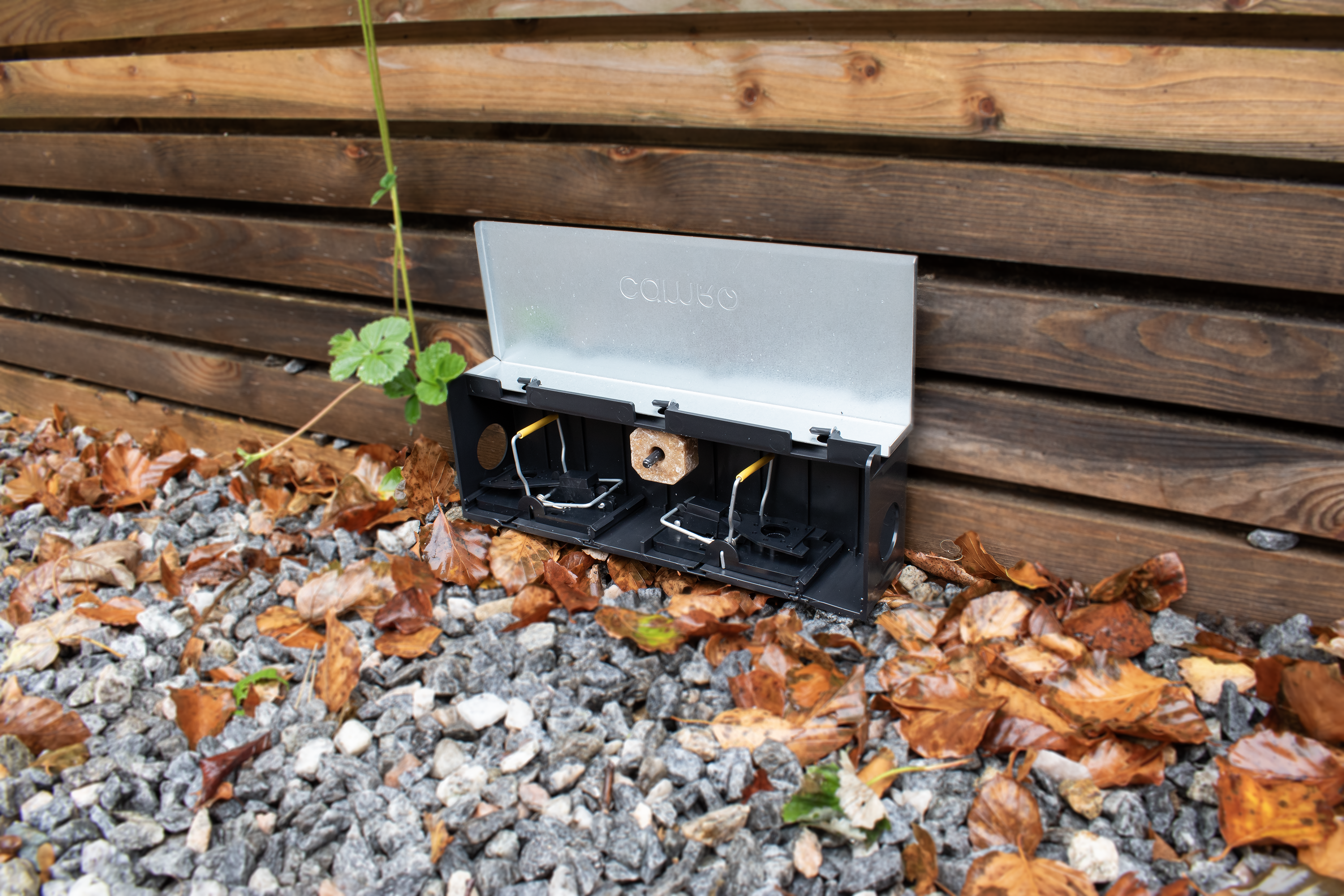 CAMRO Tunnelbox Mus, uden fælder CAMRO Tunnelbox Mus, uden fælder