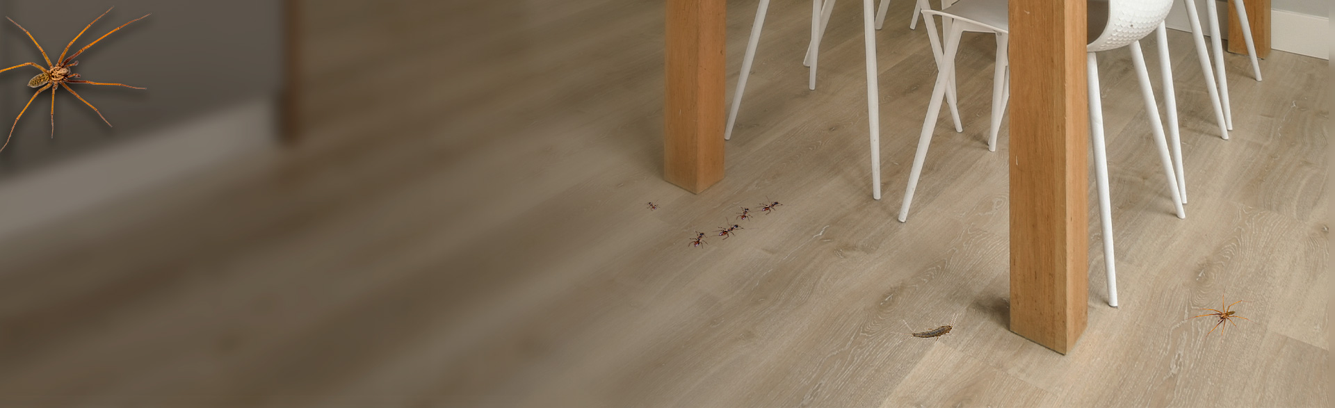 1920x587_kravlende_insekter 1920x587_kravlende_insekter